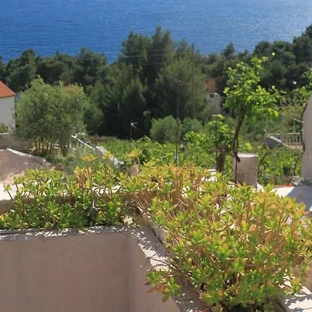 Double Ivan Dolac 8734c Πανσιόν Jelsa (Hvar)